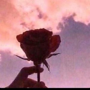 Meet your Posher, Sofia